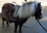 Windsor Miniature Leather Harness