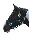 Hy Equestrian Deluxe Padded Head Collar