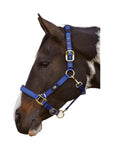 Hy Equestrian Deluxe Padded Head Collar