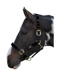 Hy Equestrian Deluxe Padded Head Collar