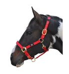 Hy Equestrian Deluxe Padded Head Collar