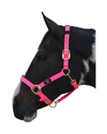 Hy Equestrian Deluxe Padded Head Collar