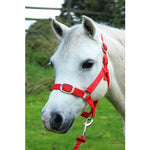 Gallop Headcollar & Leadrope Set