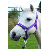 Gallop Headcollar & Leadrope Set