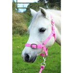 Gallop Headcollar & Leadrope Set