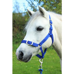 Gallop Headcollar & Leadrope Set