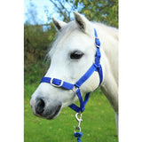 Gallop Headcollar & Leadrope Set