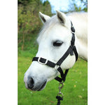Gallop Headcollar & Leadrope Set