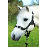 Gallop Headcollar & Leadrope Set