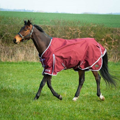 Trojan Xtra Lightweight Turnout Rug