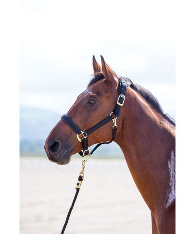 Shires Headcollars Pony Black