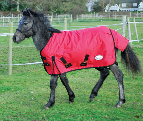 Rhinegold ‘Konig’ Small Pony/Foal Outdoor Rug