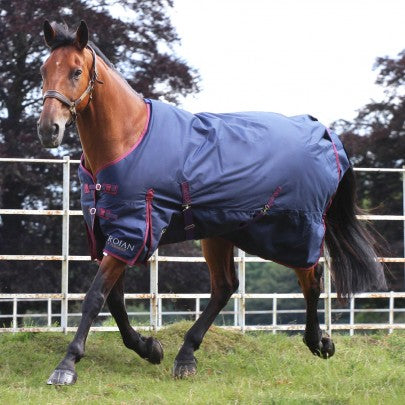 Gallop Trojan Standard Turnout Rug 50g