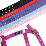 Hy Holly Fully Adjustable Head Collar