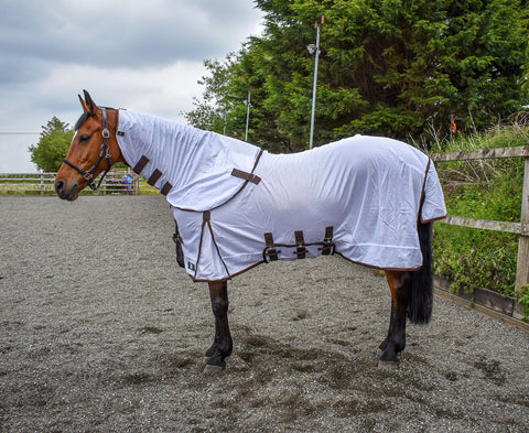 Whitaker Fly Rug Philip